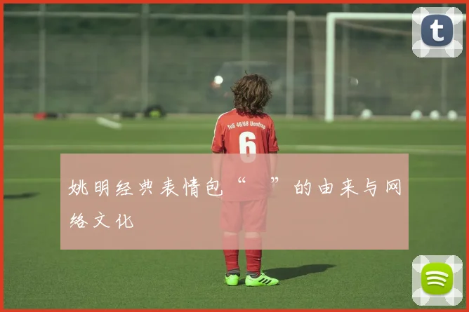 姚明经典表情包“囧”的由来与网络文化